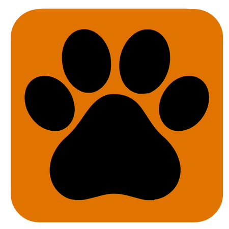 Pet