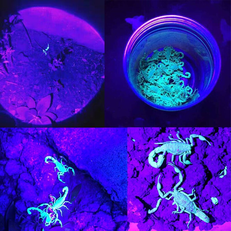 Lanterna Tática Luz Negra Ultravioleta Falcon 500